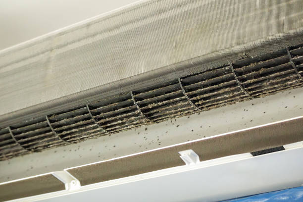 Best HVAC Air Duct Cleaning  in Freeport, FL