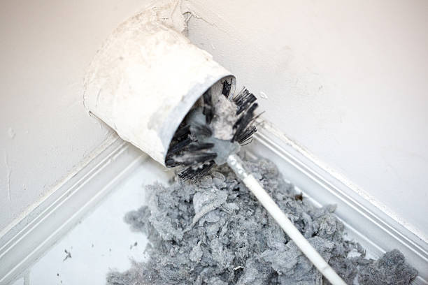 Best Emergency Air Duct Cleaning  in Freeport, FL