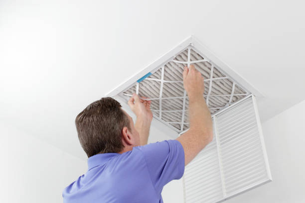 Best Air Vent Cleaning Services  in Freeport, FL